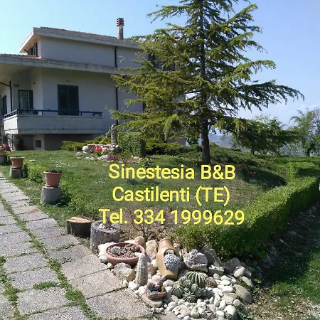 Sinestesia